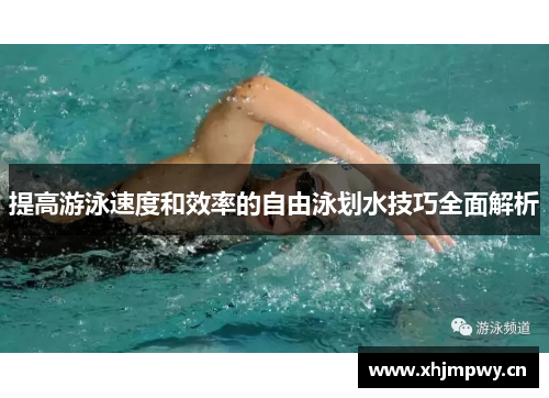 提高游泳速度和效率的自由泳划水技巧全面解析