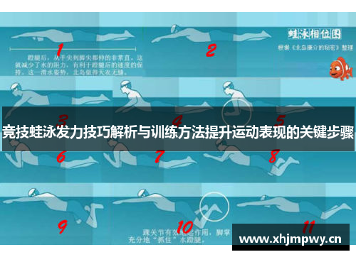 竞技蛙泳发力技巧解析与训练方法提升运动表现的关键步骤