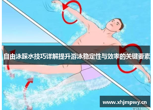 自由泳踩水技巧详解提升游泳稳定性与效率的关键要素