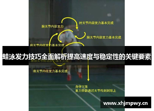 蛙泳发力技巧全面解析提高速度与稳定性的关键要素