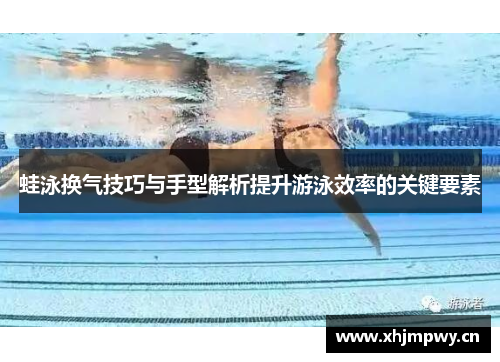 蛙泳换气技巧与手型解析提升游泳效率的关键要素