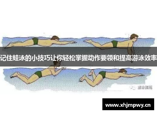 记住蛙泳的小技巧让你轻松掌握动作要领和提高游泳效率