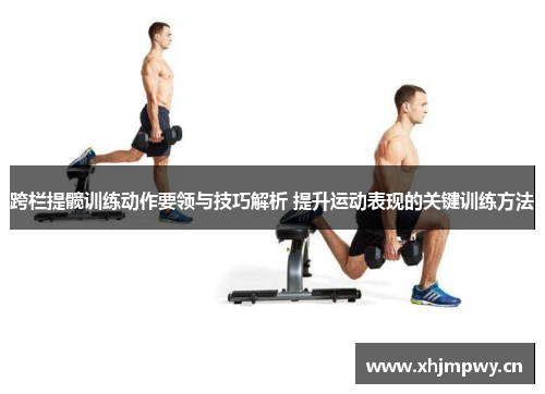 跨栏提髋训练动作要领与技巧解析 提升运动表现的关键训练方法
